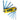 Llavero Allen Icetoolz Amaze-10 1.5/2/2.5/3/4/5/6/+/- Torx T25 95A3
