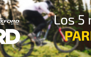 Los 5 mejores bike parks en chile para vivir la maxima adrenalina
