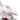 #color_rosado