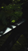 Floating video - polux8.mp4