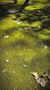 Floating video - pata-apoyo.mp4