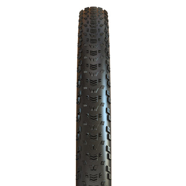 Neumatico 29 X 2.40 Maxxis Aspen Kevlar/Maxx Speed/Wide Trail/Exo/Tubeless Ready